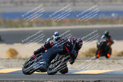 media/Apr-10-2022-SoCal Trackdays (Sun) [[f104b12566]]/Turn 14 (10am)/